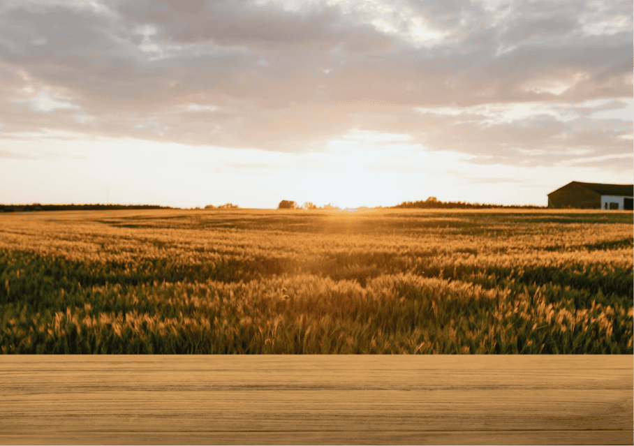estate planning